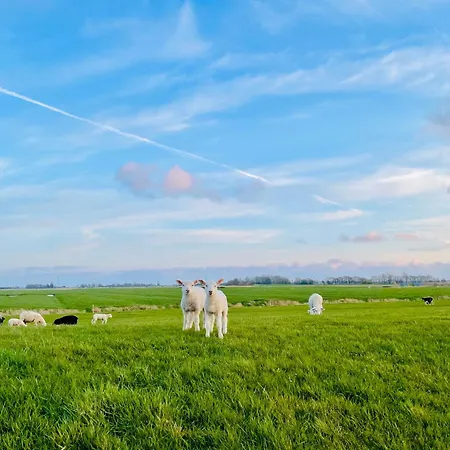 Апартаменты Nordseeestate - Loft Unter Reet Mit Sauna