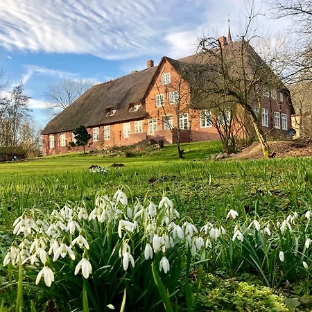 Nordseeestate - Loft Unter Reet Mit Sauna Апартаменты *