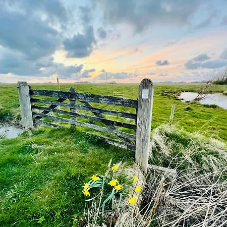 Nordseeestate - Loft Unter Reet Mit Sauna Апартаменты Tetenbull