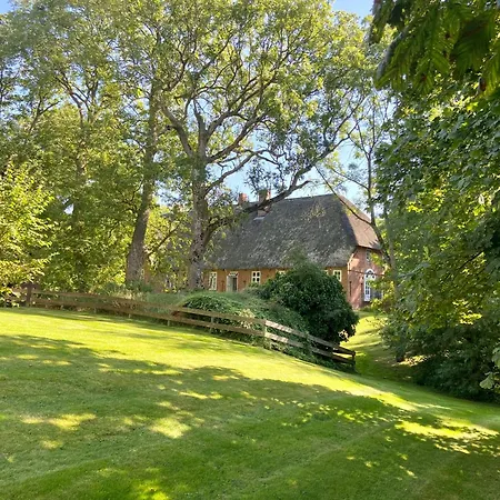 Nordseeestate - Loft Unter Reet Mit Sauna Tetenbull